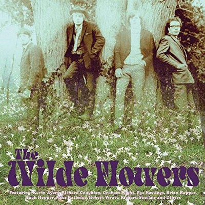 Wilde Flowers - Wilde Flowers CD B0VG The Cheap Fast Free Post