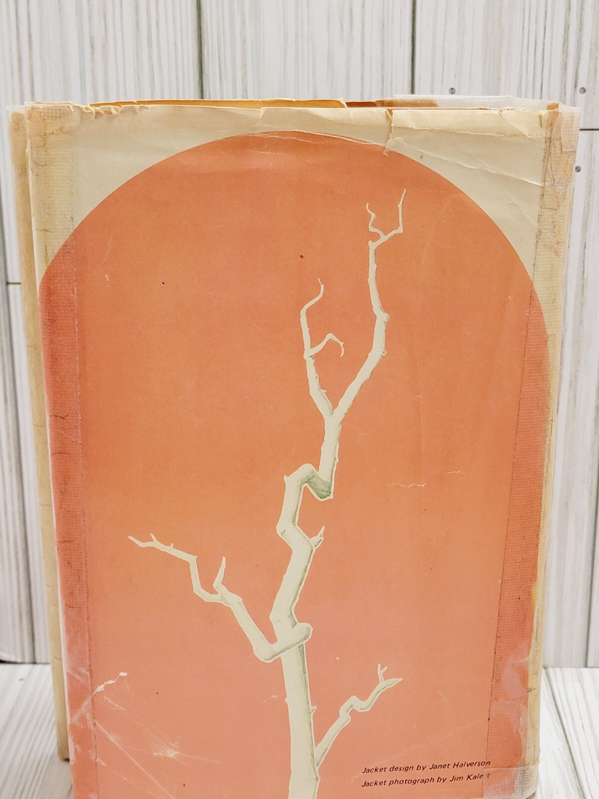 FILA The Thorn Birds Collen McCullough HC 1977 Harper & Row Dust jacket Book Club