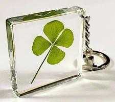 48mm Real Four Leaf Clover Shamrock in Keychain Lucky Leaf Inside Clear Lucite