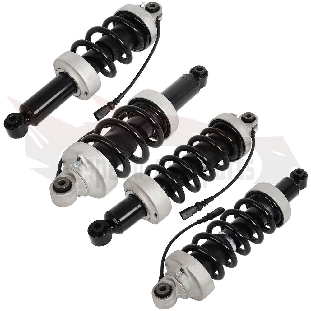 Front & Rear Air Suspension Electric Shock StrutsFor Audi R8 V8 V10 2007-2015
