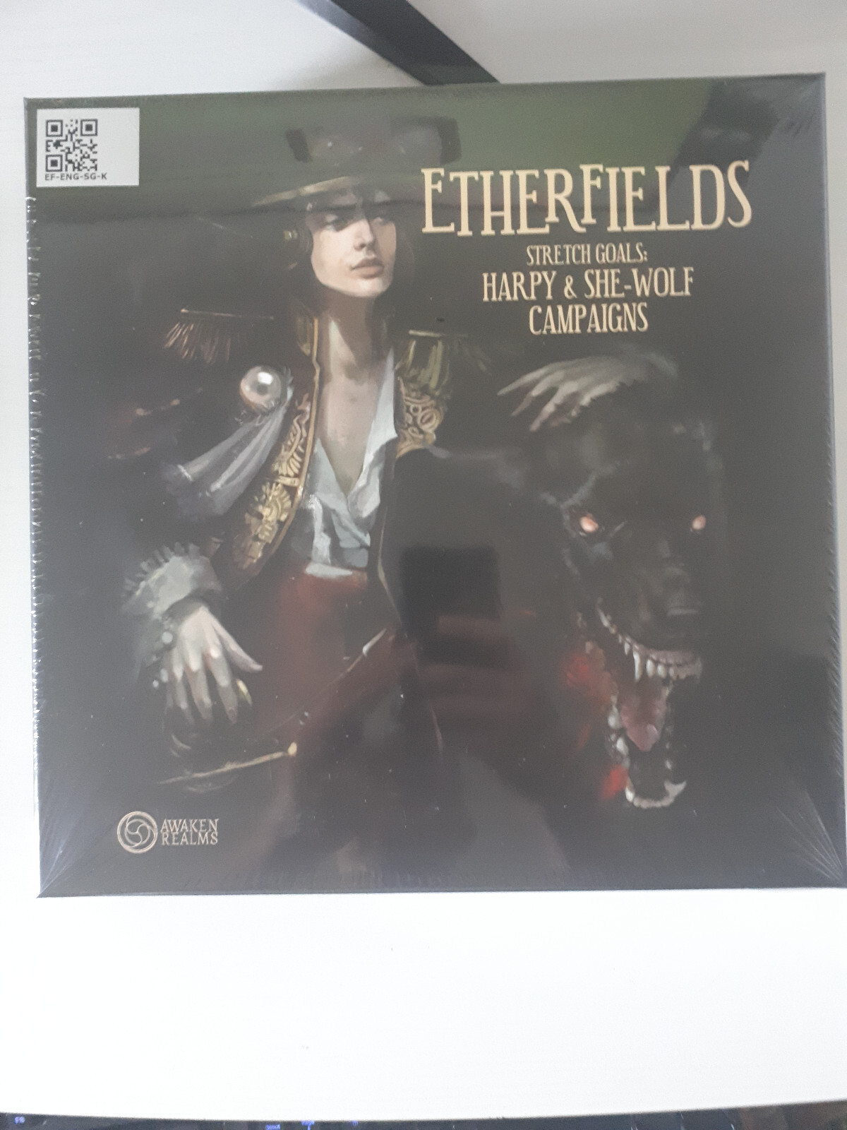 Etherfields extension campagne figurines boite bonus de financement english new
