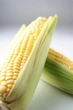 Freeze-Dried Corn Kernels - Yellow