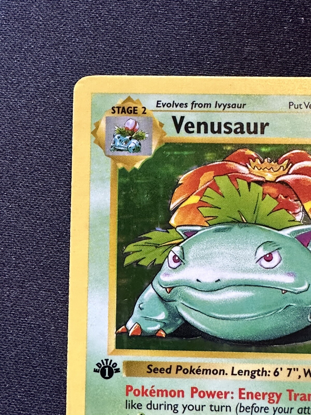 Pokémon Venusaur Base Set 1st edition 15/102 Front🍃