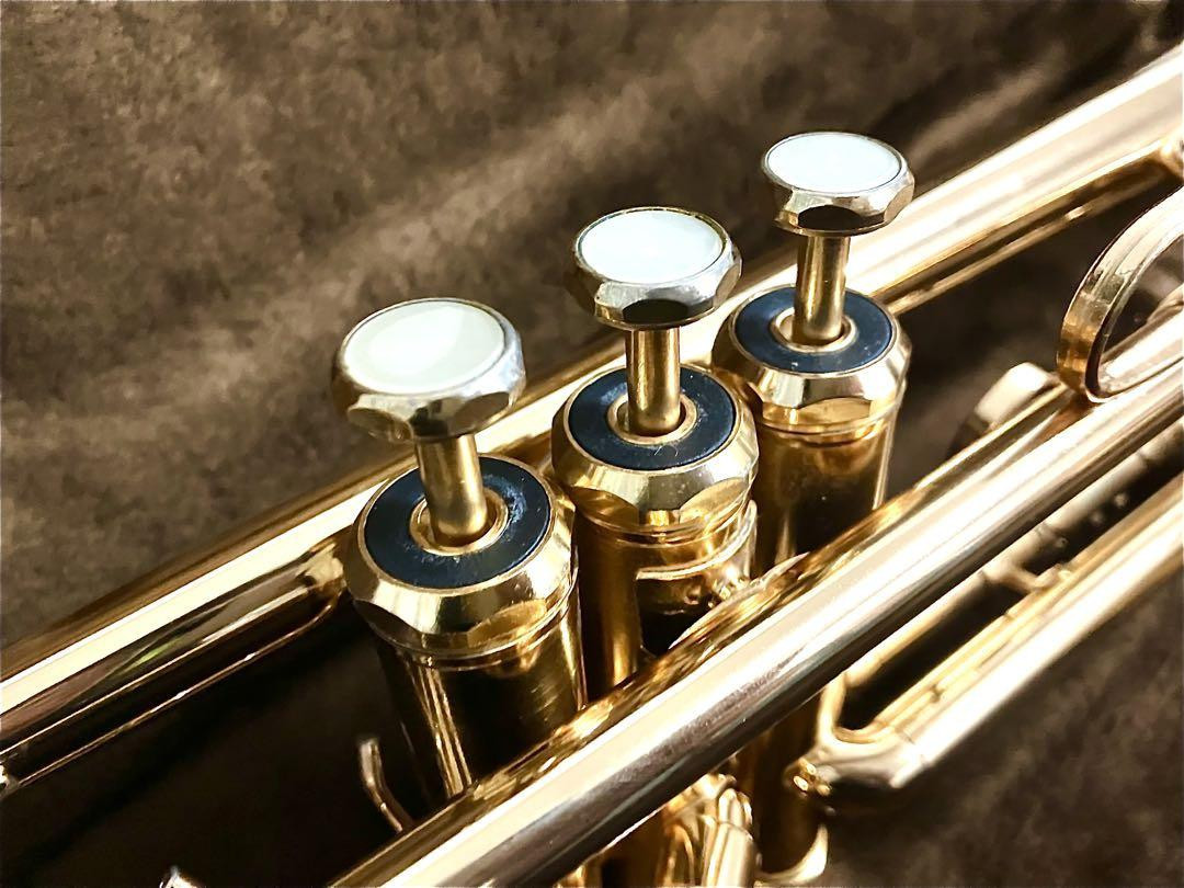 Weril Trumpet Excalibur E971, Natural Curve, High Quality | eBay Weril Trumpet Excalibur E971, Natural Curve, High Quality | eBay