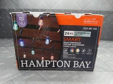 Hampton Bay Smart 24 ft. Indoor/Outdoor Plug-in LED RGBW String Light 1010281103