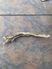 Natural Driftwood for Plants Terrarium Taxidermy Art Projects