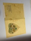 Vintage Hand Painted Peepal Tree Leaf India Greeting Card Framed & Matted 10x13 — photo 6