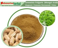 Capsule Of Pure Artemisia Vulgaris Mugwort Common Organic Natural Herbal Herbs