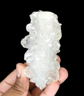 Natural Shiny Apophyllite Cluster on Chalcedony Minerals (Zeolite) #S320
