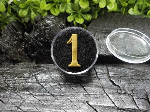 Brass Company Number "1" Comes with a free Case for Display and Protection