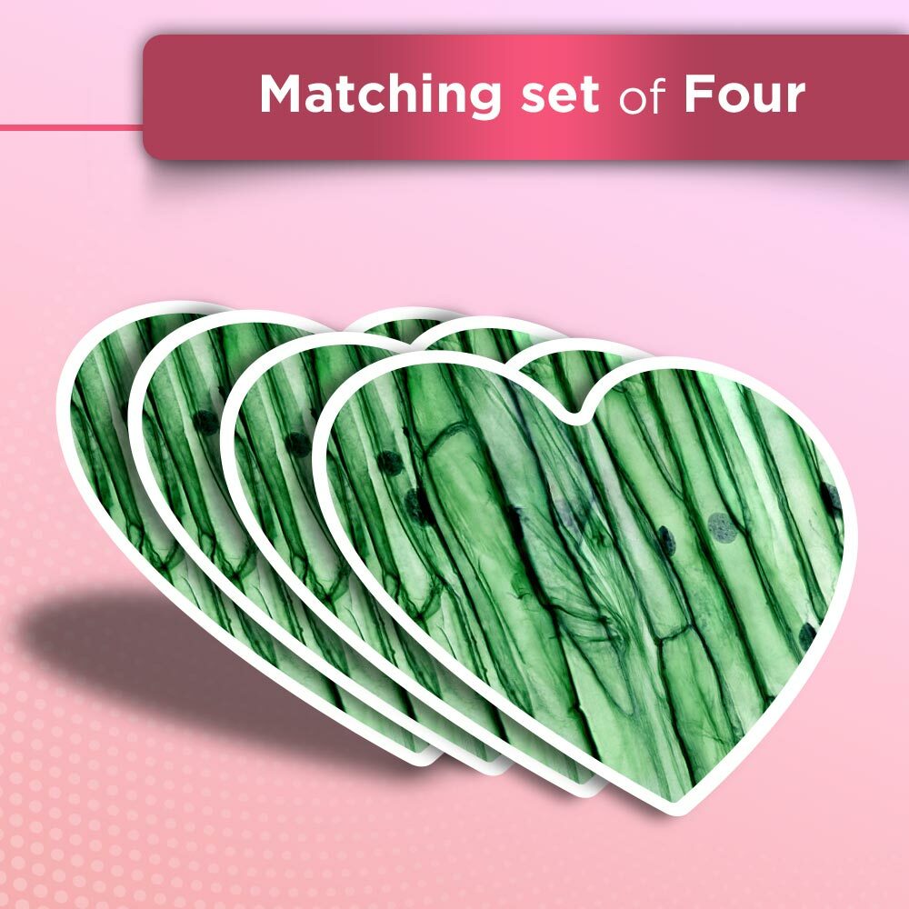 4x Heart Stickers - Plant Cells Microscope Science #46134 view 2