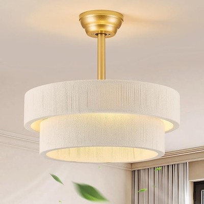 20 Inch Boho Caged Fandelier Ceiling Fan with Light Remote Rattan 6-Speed