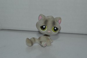 lps cat sitting