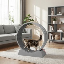 30 inch Cat Exercise Wheel Large Cat Treadmill Running Wheel for Indoor Cats