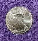 2016 American Eagle Silver Dollar Coin - 1 oz .999 Fine Silver-Some Milk Spots