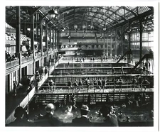 c.1900 SAN FRANCISCO SUTRO BATHS with SPECTATORS & SMALL POOLS~8x10" PHOTO PRINT