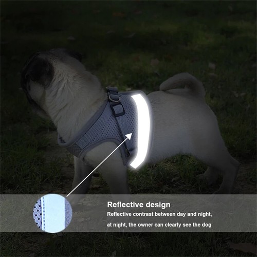 1/2 Kitten Dog Cat Harness and Leash for Walking Adjustable Soft Pet Vest Collar - Picture 9 of 21