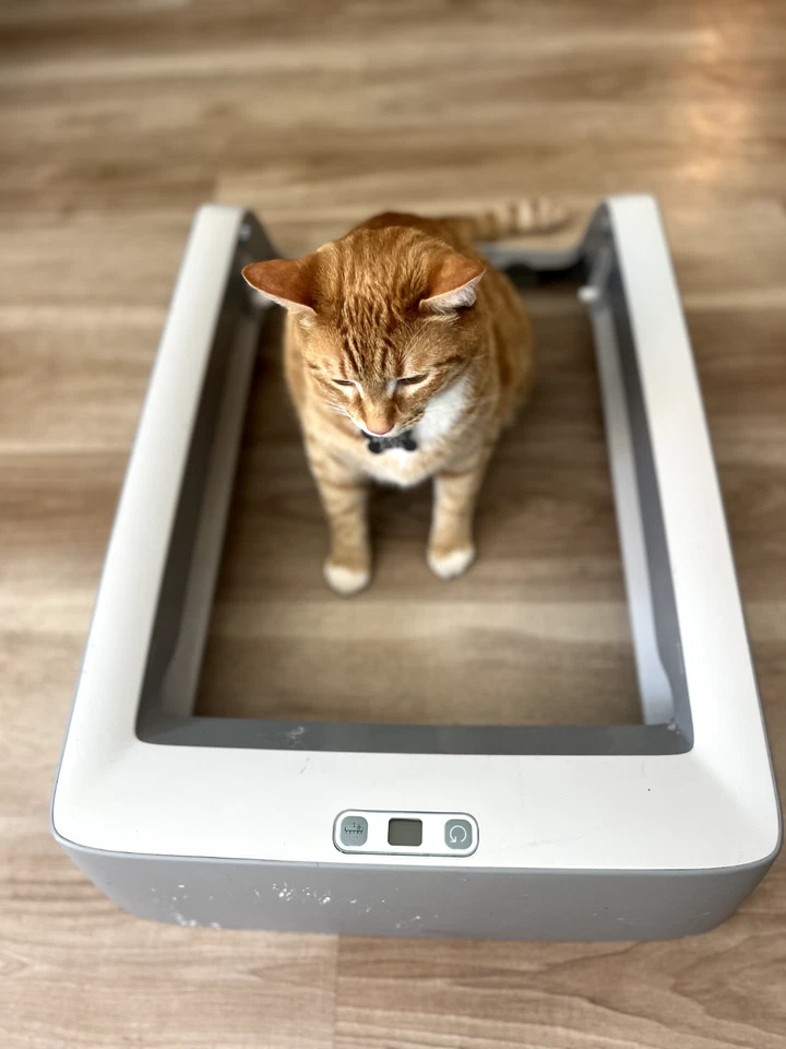 ScoopFree Crystal Classic Self-Cleaning Litter Box, Large - image 2 of 3