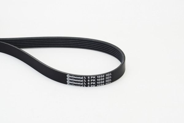 Continental Ctam Keilrippenriemen 6PK1050 FüR Audi CitroËN Fiat Iveco Lexus-image
