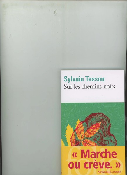 Sur Les Chemins Noirs | Sylvain Tesson | Taschenbuch | 178 S. | FranzöSisch-image