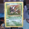 CGC 7 Spanish Pinsir 2000 Jungle 9/64 Holo Pokemon Card MP Swirl