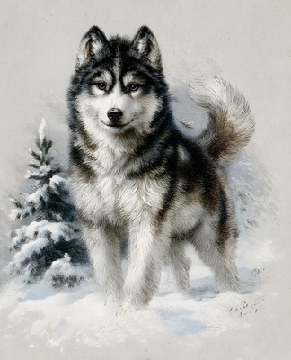 8x10 Wildlife Nature Animal Art Print - 931706108