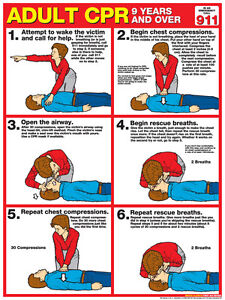 Aha Cpr Guidelines Chart