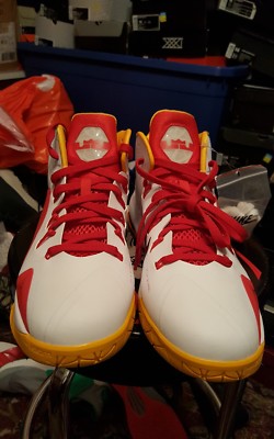 lebron ambassador vii