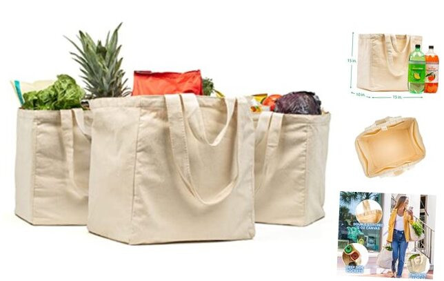 XL Canvas Grocery Bag Set with Pockets & Long Strap in Beige - 3pc