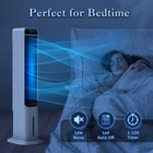 41" Evaporative Air Cooler fan, 3 in 1 Portable Fan with Remote Control,ice pack