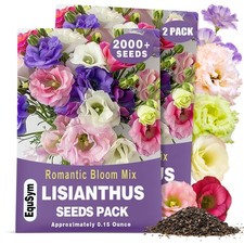 2000 Lisianthus Seeds for Planting - 2 Pack Mixed Color Perennial green