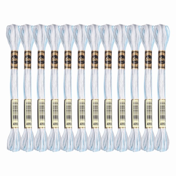 12 SträNge Stickgarn Polyester ArmbandfäDen FüR Kreuzstich, Grau Blau-image
