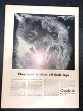 Life Magazine Ad GOODRICH RUBBER 1937 AD Cover