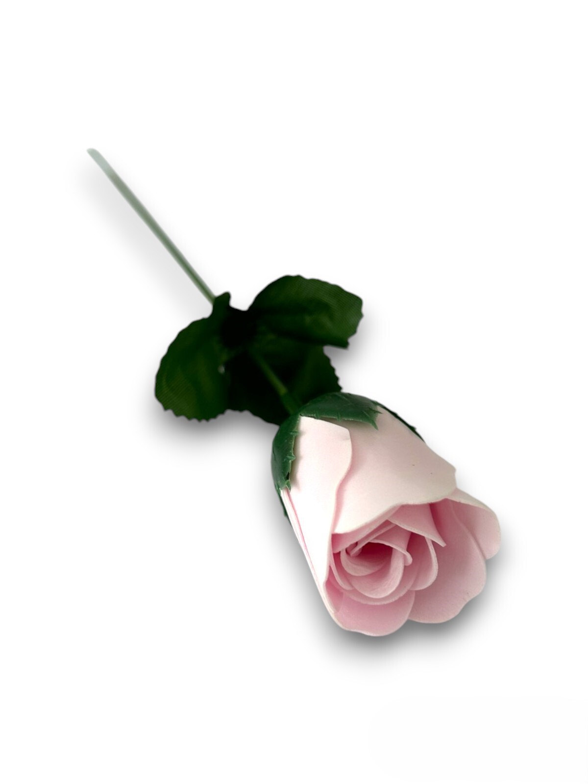 Bild 5 von 6