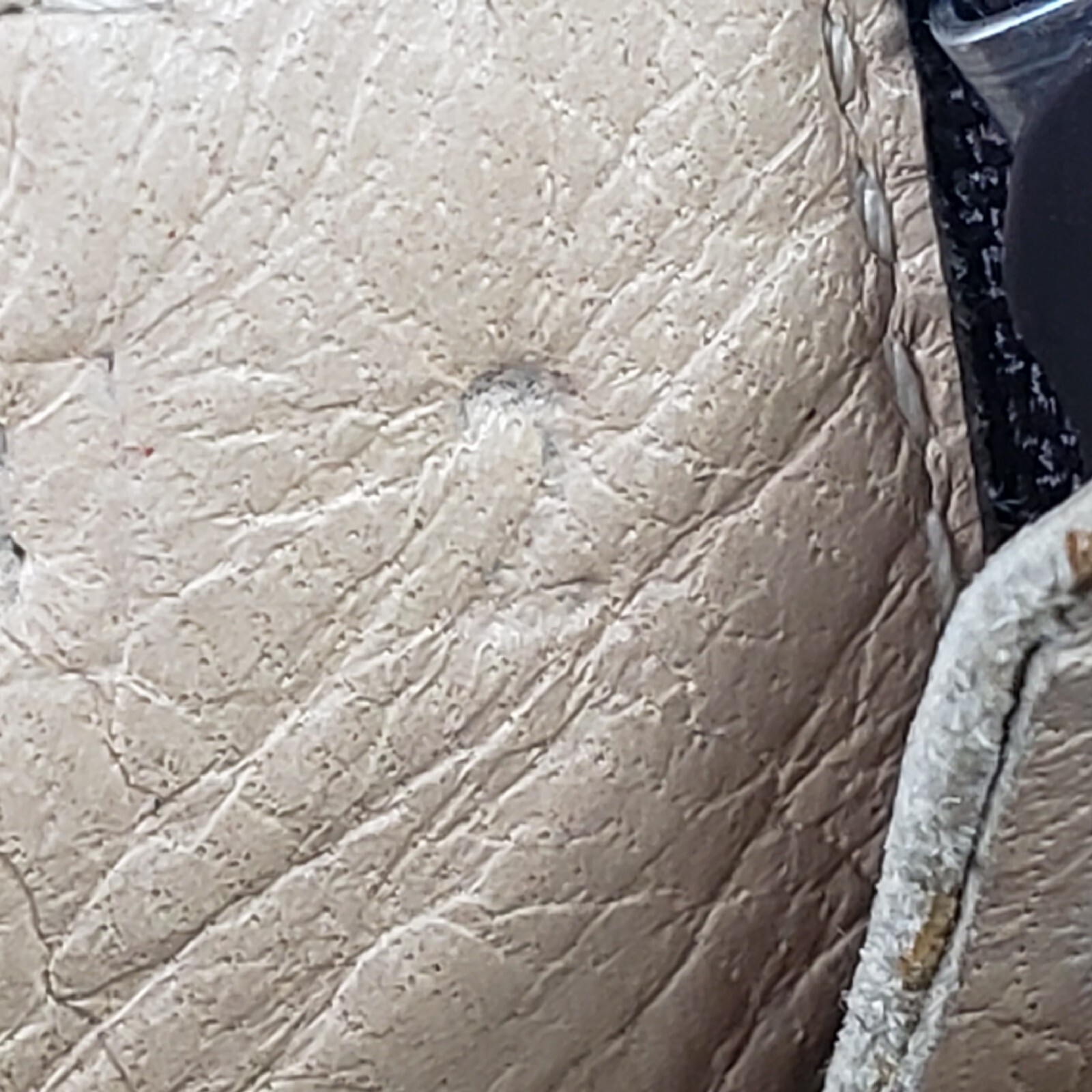 Riviere Ankle Platform Python Snake Leather High … - image 9