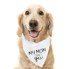  Engagement Gift Wedding Dog Bandana - Triangle Bibs Scarf Pet Accessories, 
