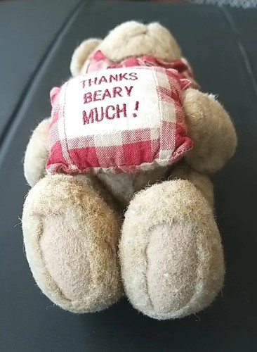 Vintage Boyds Bear Plush Merci Bearcoo Thanks Beary Much TJs Best Dressed - Picture 6 of 14