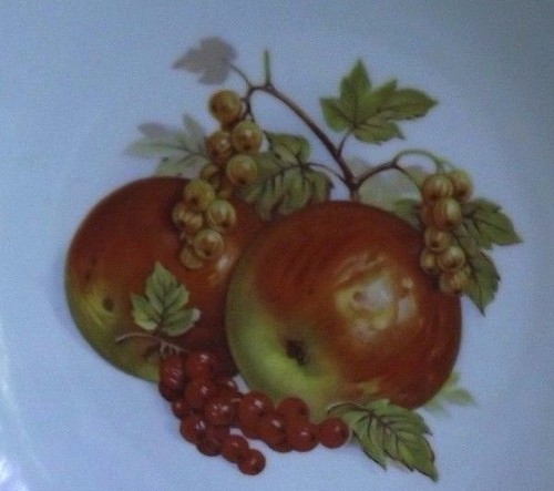 Taza de té, platillo, juego de platos de colección Bareuther Waldsassen Bavaria ~ 122 123 - Imagen 2 de 3
