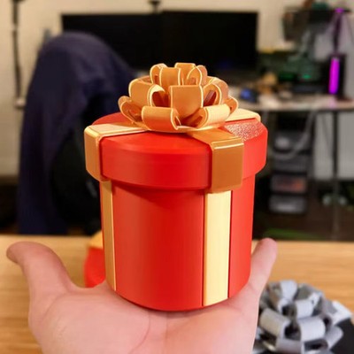 ScrewMaze Prank Gift Box Trick Puzzle Gag Funny Surprise Maze Challenge Toy Gift