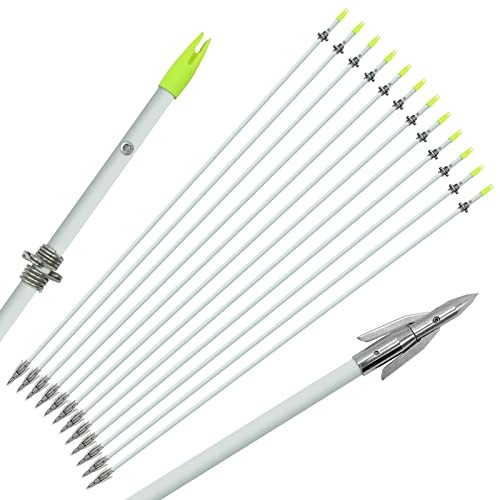 OBTOUTDOOR 6 unids/12 unids 36 pulgadas bowfishing flechas 0.315 in 12 unidades