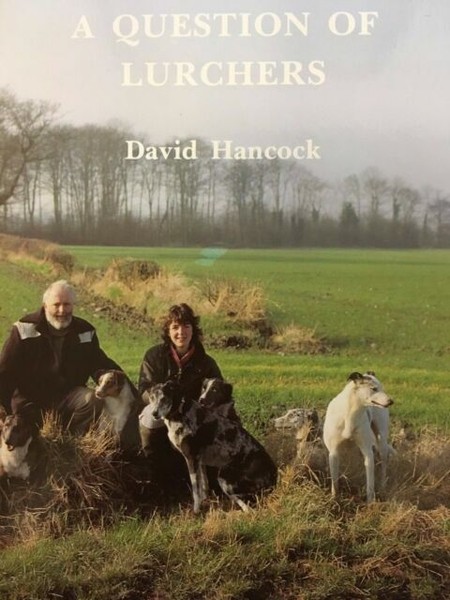 hancock lurchers for sale