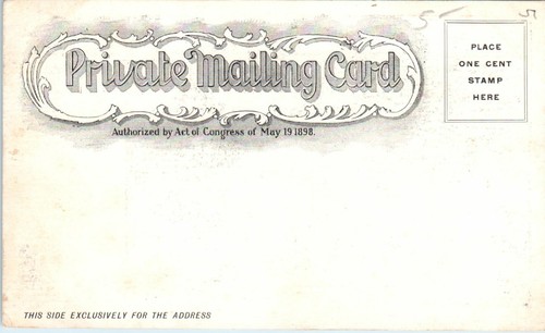 1905 RI Postcard Arch Bellevue Avenue Newport American Flags Banner PMC - Picture 2 of 2