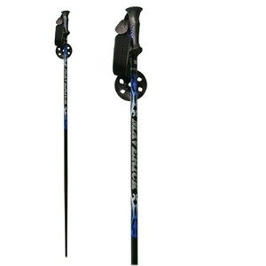 alpine ski poles