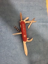 Wenger Delemont Backpacker