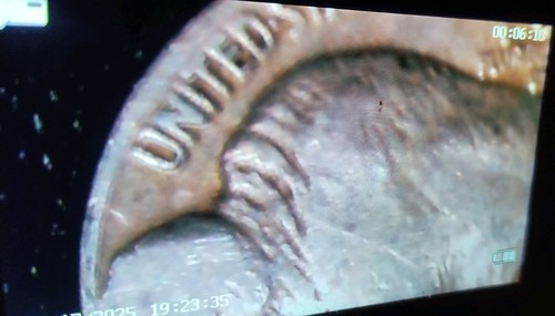 1934-D Buffalo Nickel Double Die - Picture 3 of 7