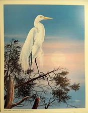 EGRET PICTURE WATERFAWL FENSKE ART PRINT 15X12