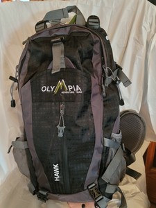 lightweight tunnel tent