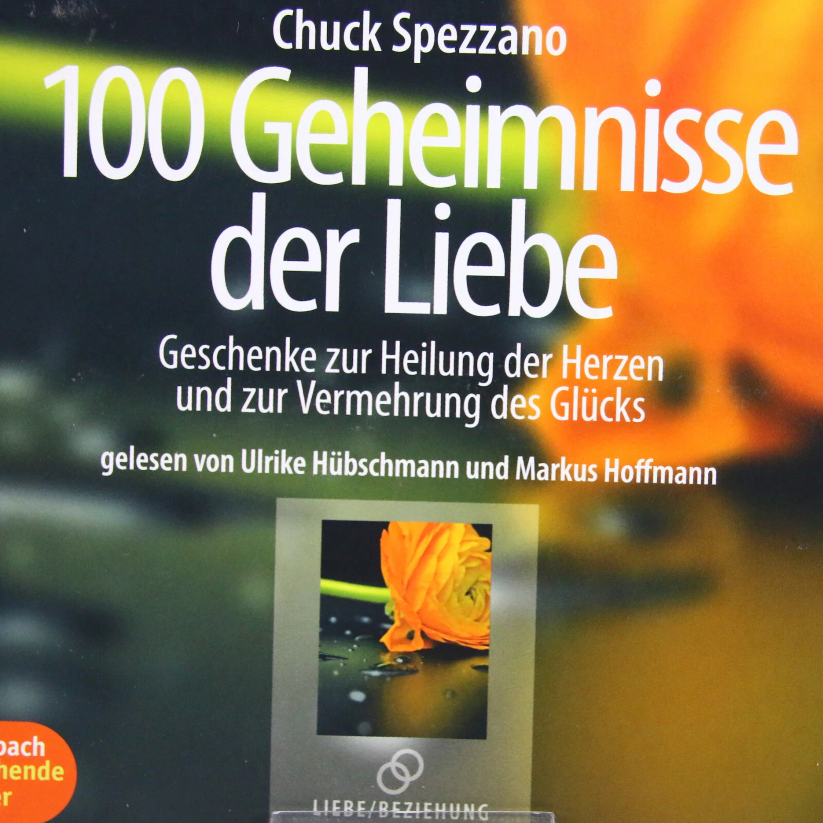 Bild 4 von 226