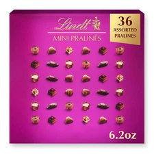 Mini Pralines, Assorted Chocolate Pralines with Premium Filling, Perfect for Mot