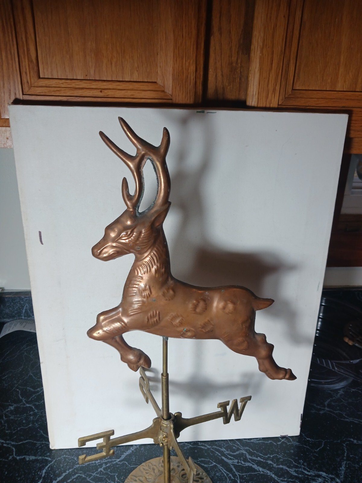 Picture 3 of 19